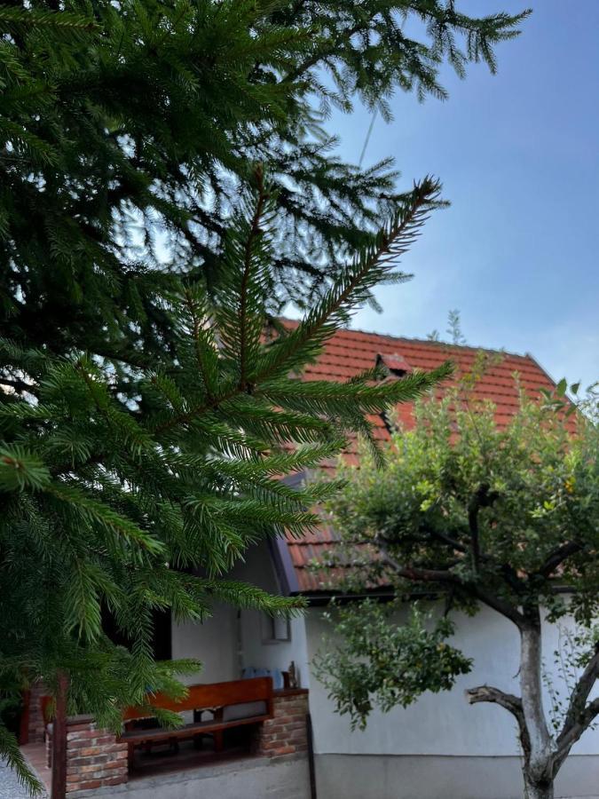 Holiday Home Amila Visoko Luaran gambar